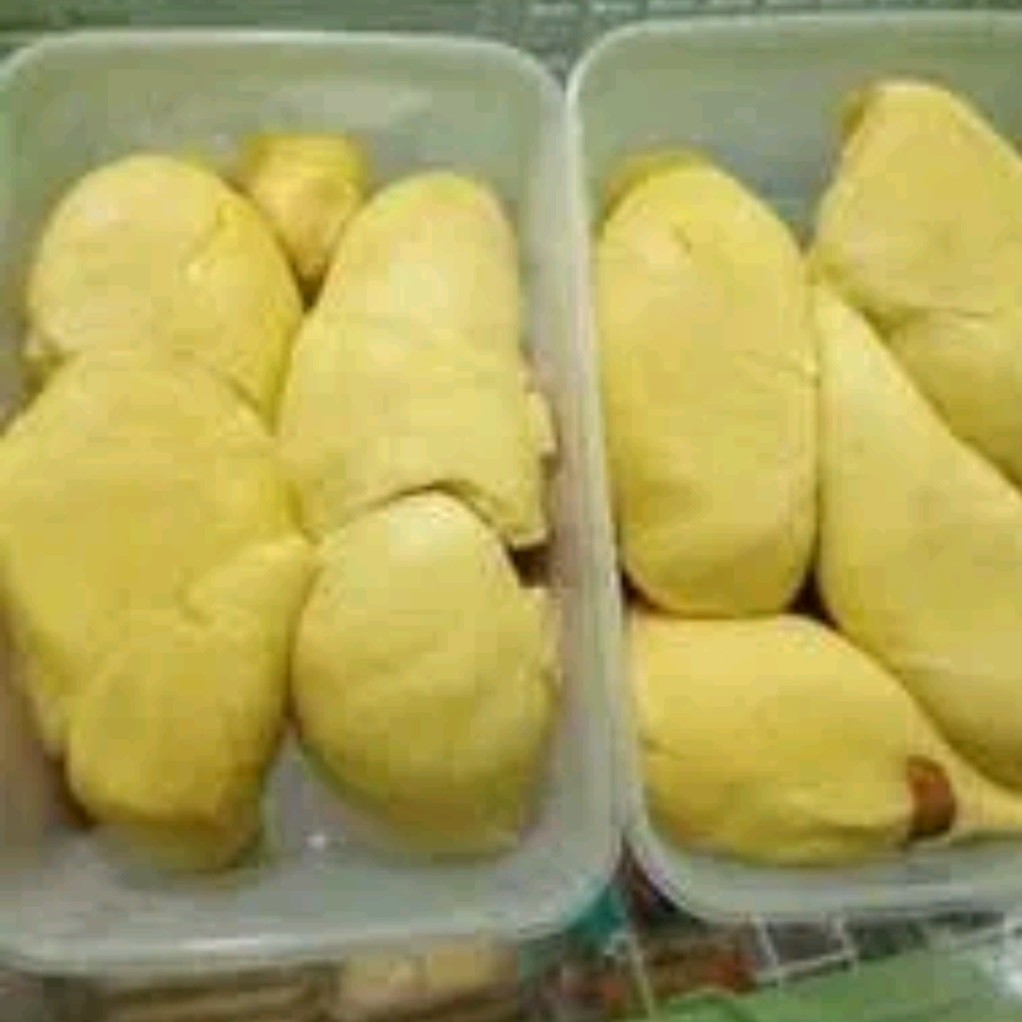 Duren Montong