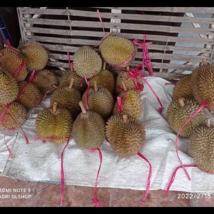 Durian 