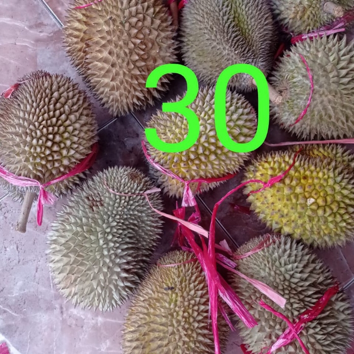 Durian  2