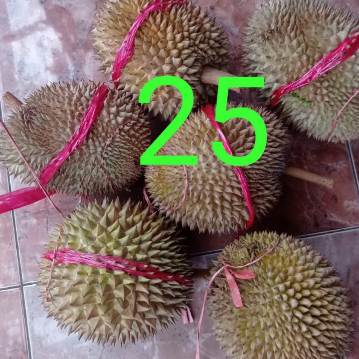 Durian  3