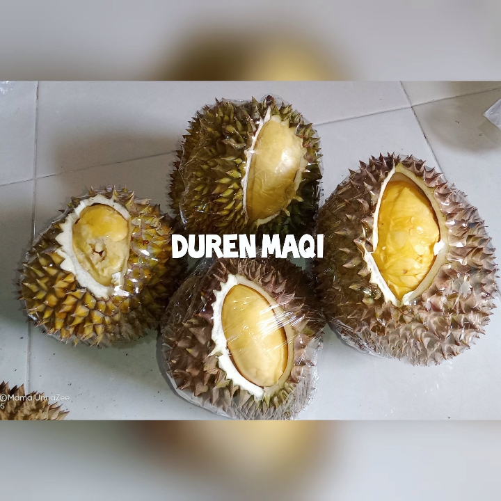 Durian Montong 