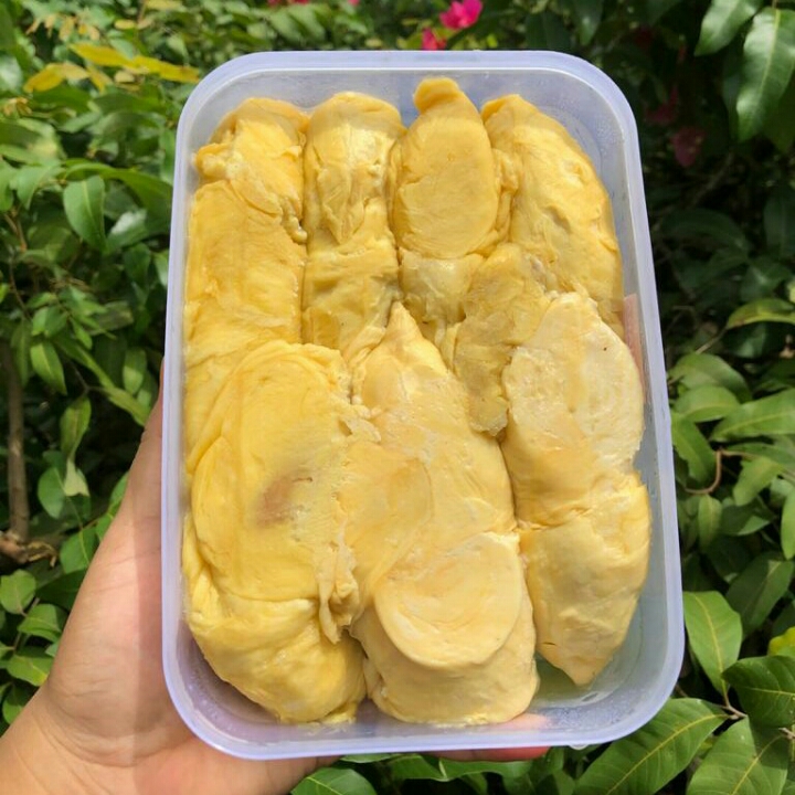 Durian Tembaga