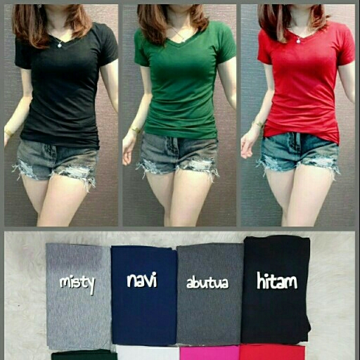 EHL TW Vneck Basic