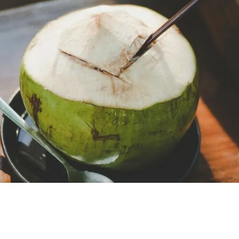  KELAPA MUDA SUSU