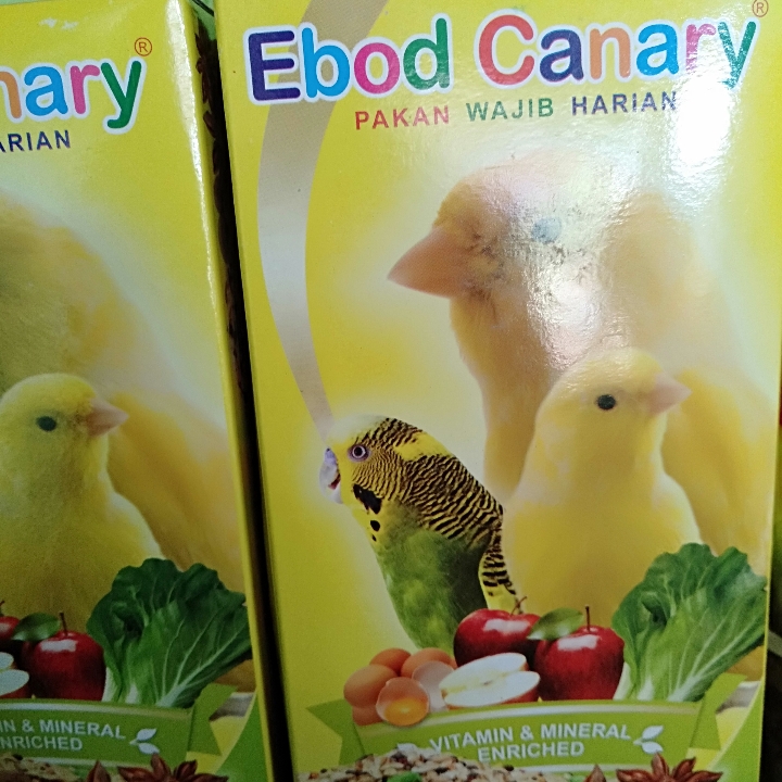 Ebod Canary