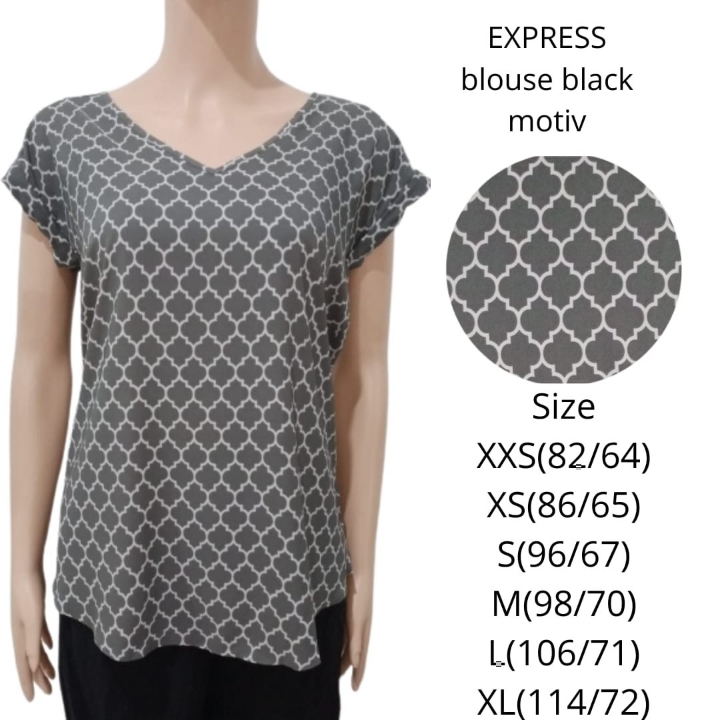 Ekspres Blouse Wanita V-Neck