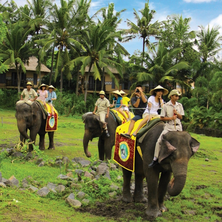 Elephant Back Safari