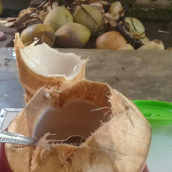 Es Kelapa Muda