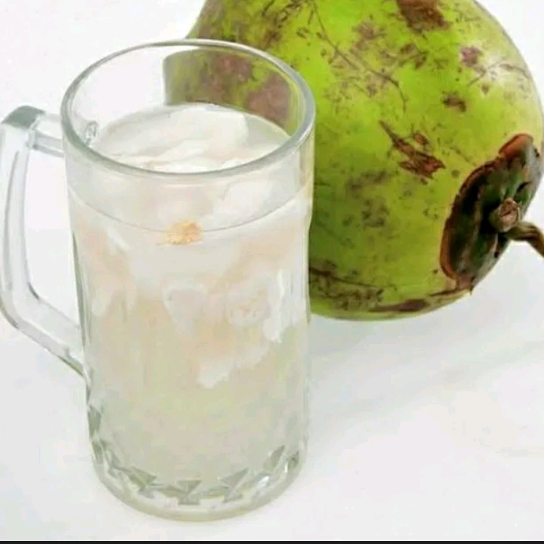 Es Kelapa Muda Gula Putih Susu