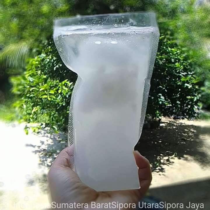 Es Kelapa muda