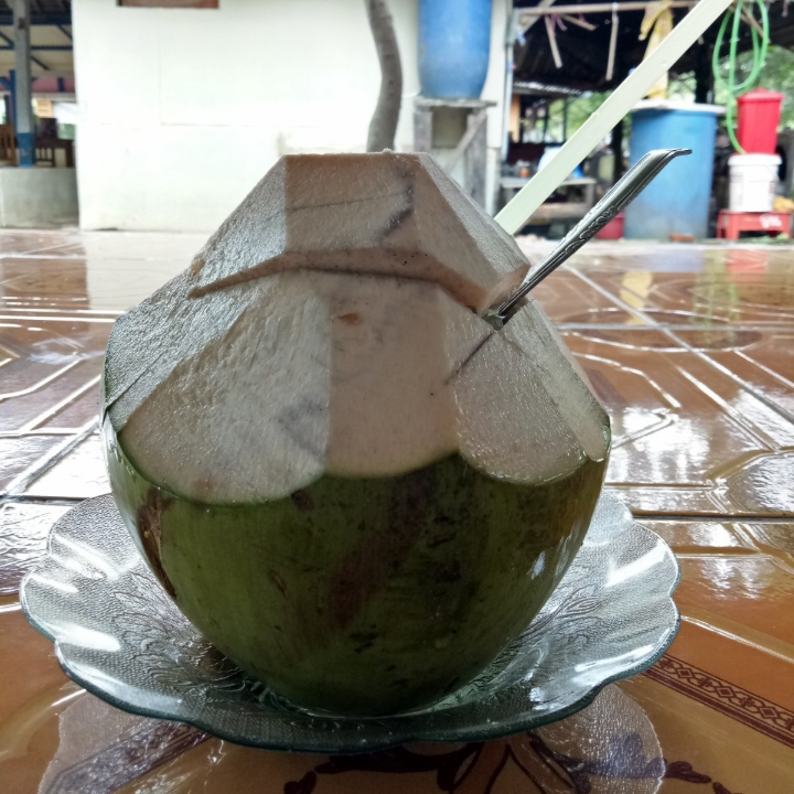 Es kelapa muda