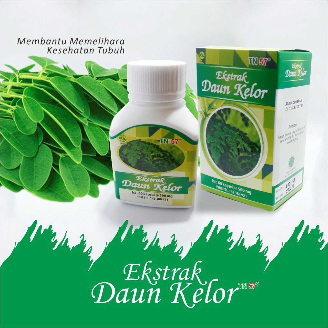 Exstrak Daun Kelor 2