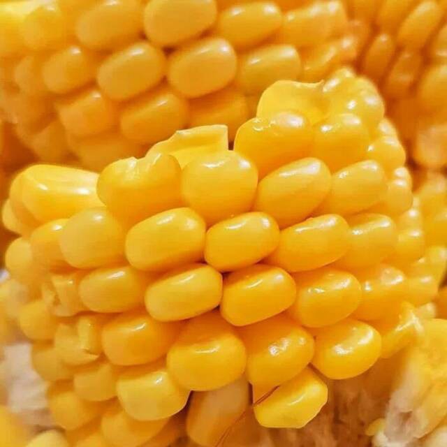 Extra Corn