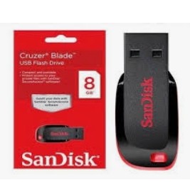 FD Sandisk 8Gb Original 2