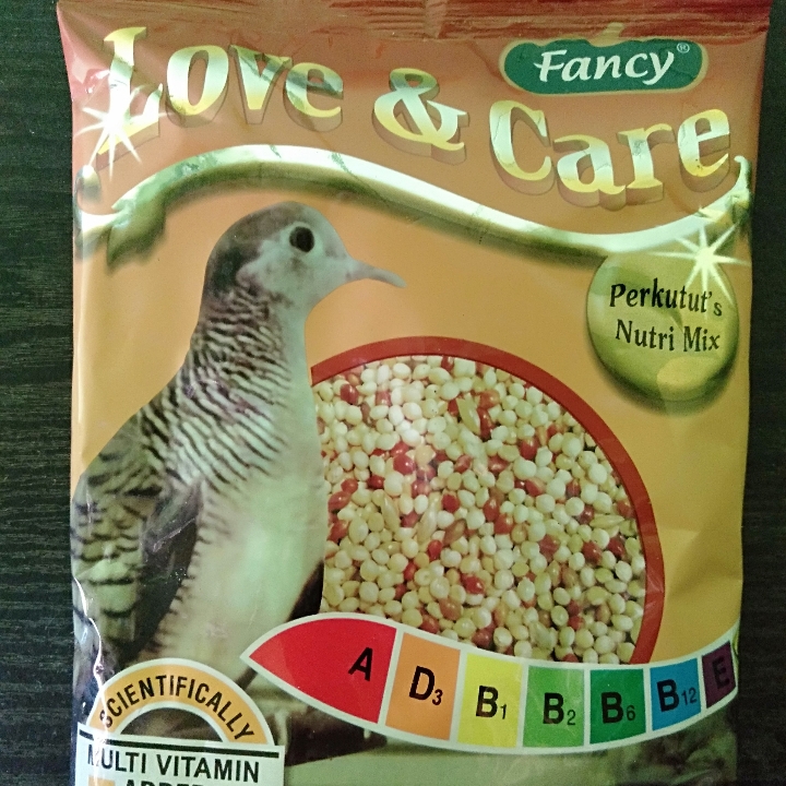 Fancy Love And Care Perkutut