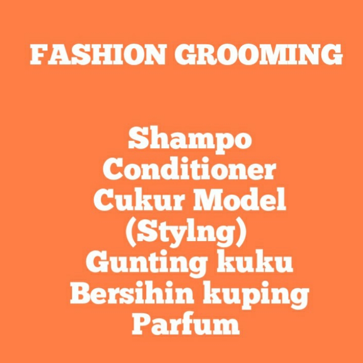 FASHION GROOMING 2