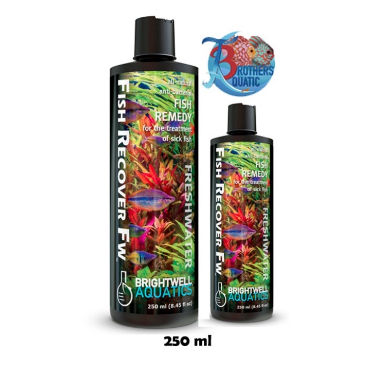 Fish Recover FW Brightwell Aquatics 250 Ml