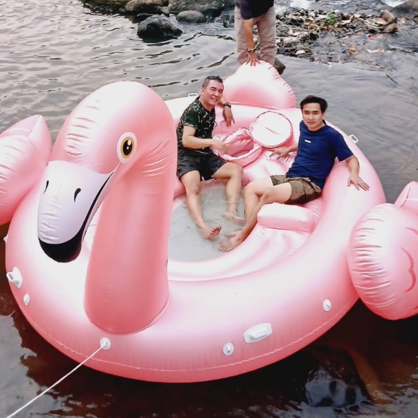 Flamingo Pelampung 2