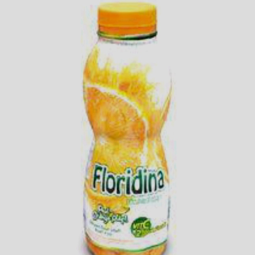 Floridina