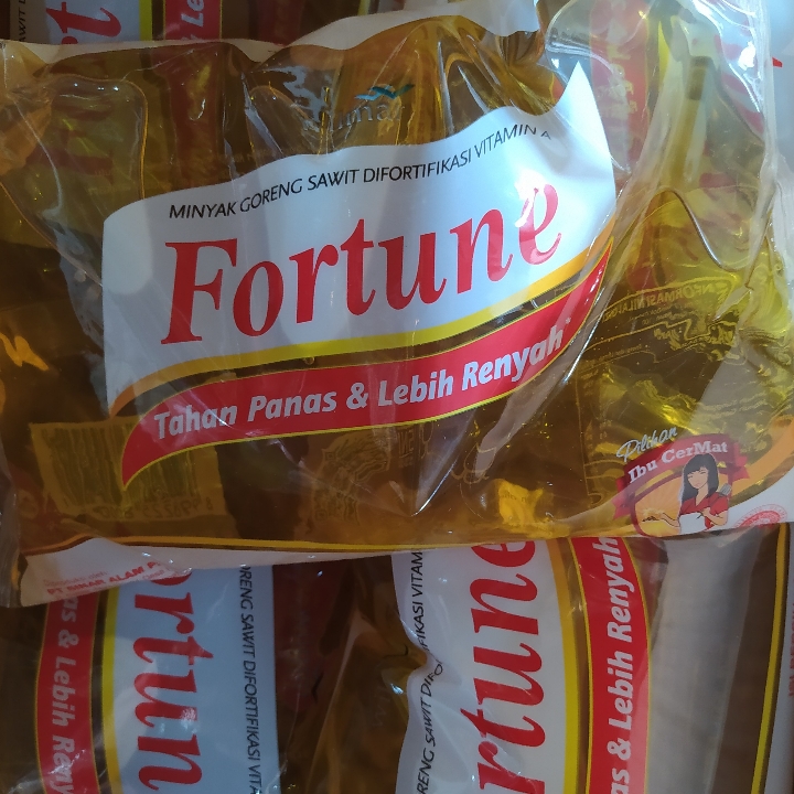 Fortune 1L