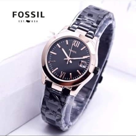 Fossil Rantai