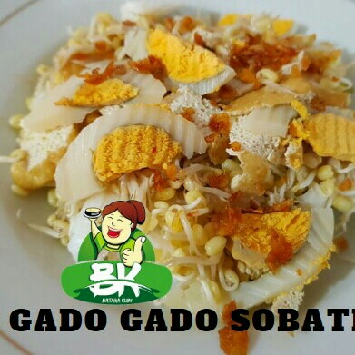 GADO GADO