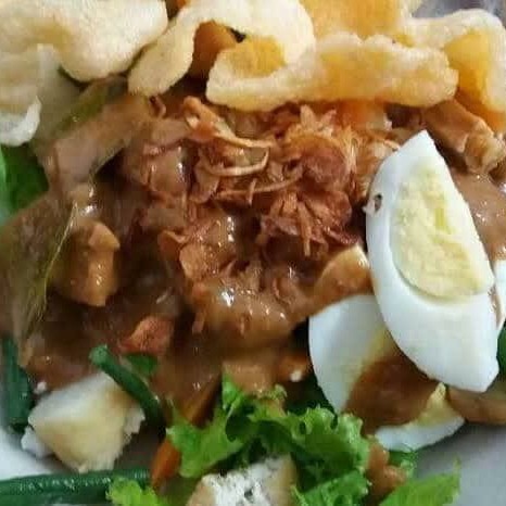 GADO GADO