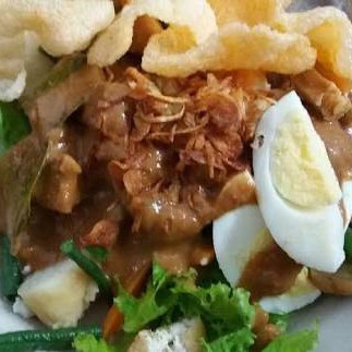 GADO GADO