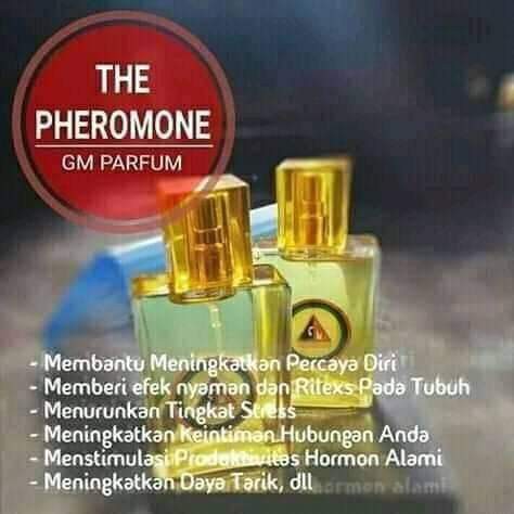 GM PARFUM PHEROMONE 2