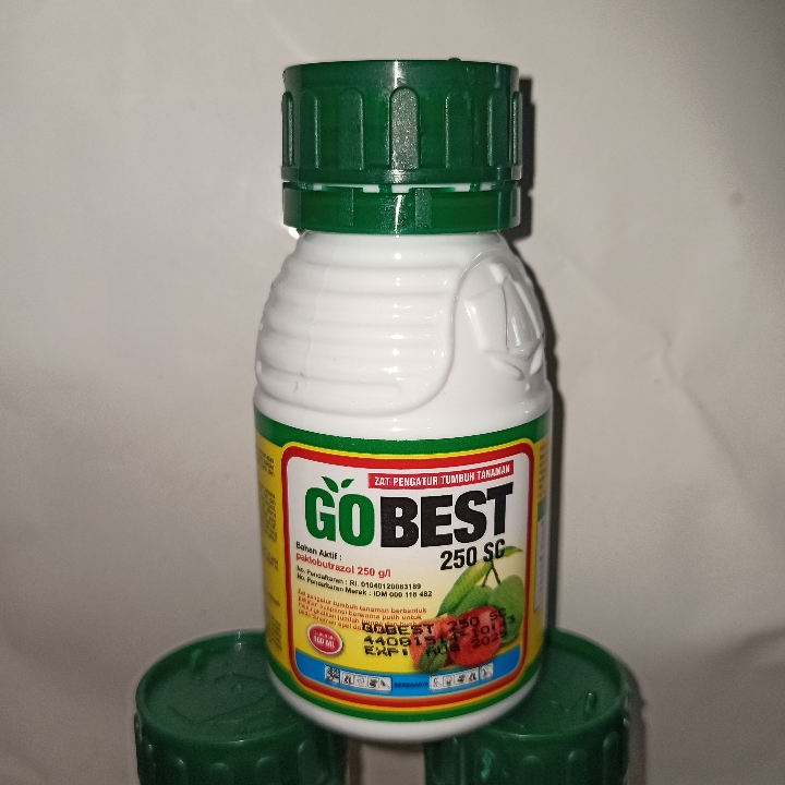 GOBEST 250 SC 100 ML