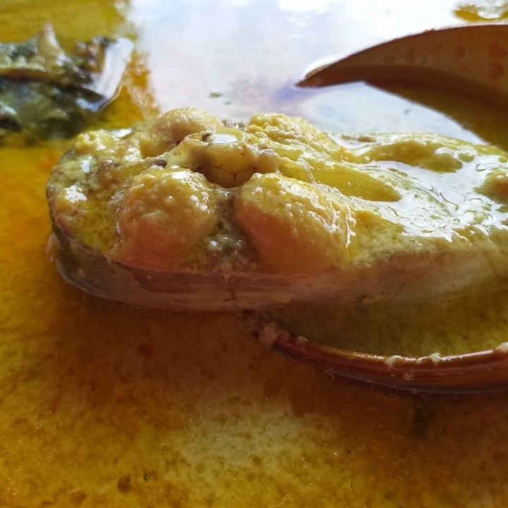 GULAI IKAN PATIN