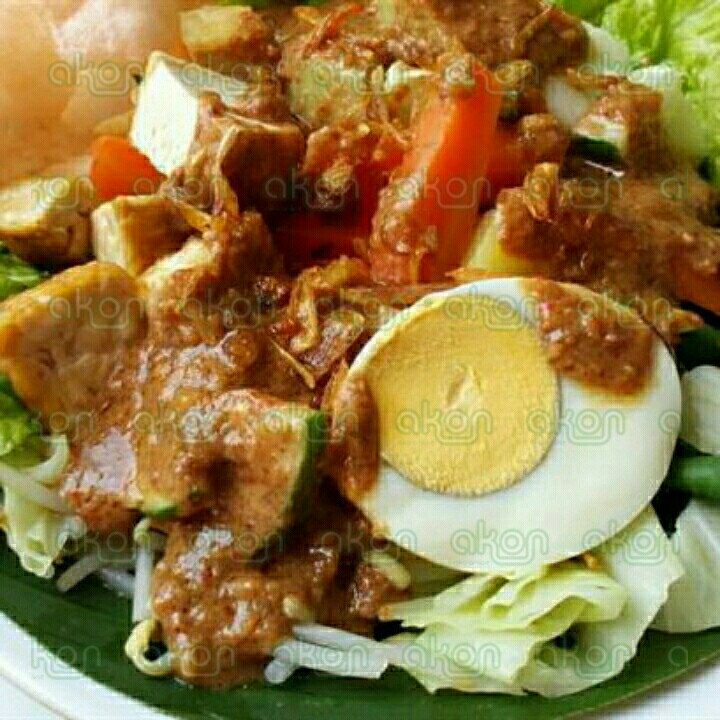 Gado Gado Biasa