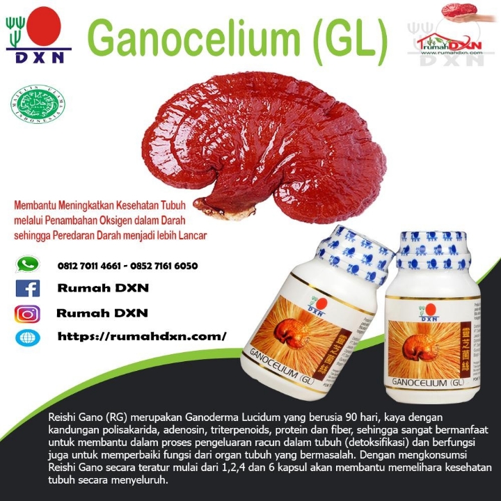 Ganocelium GL DXN tablet