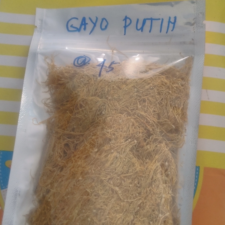 Gayo Putih