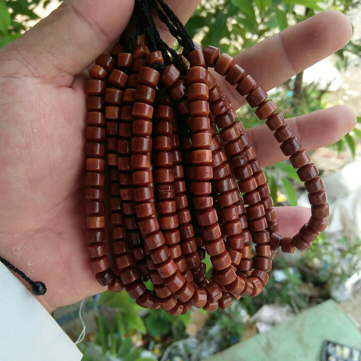 Gelang Kokka