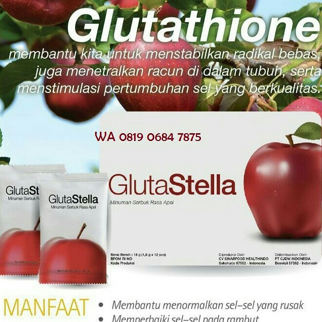 Gluestella 