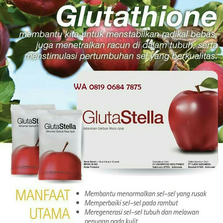 Gluestella 