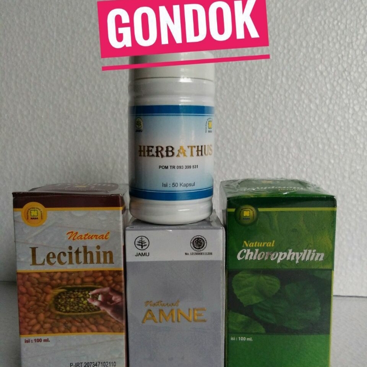 Gondok 2