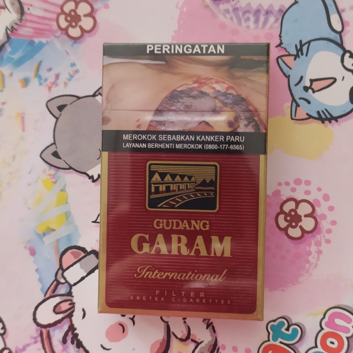 Gudang Garam Biasa Gf