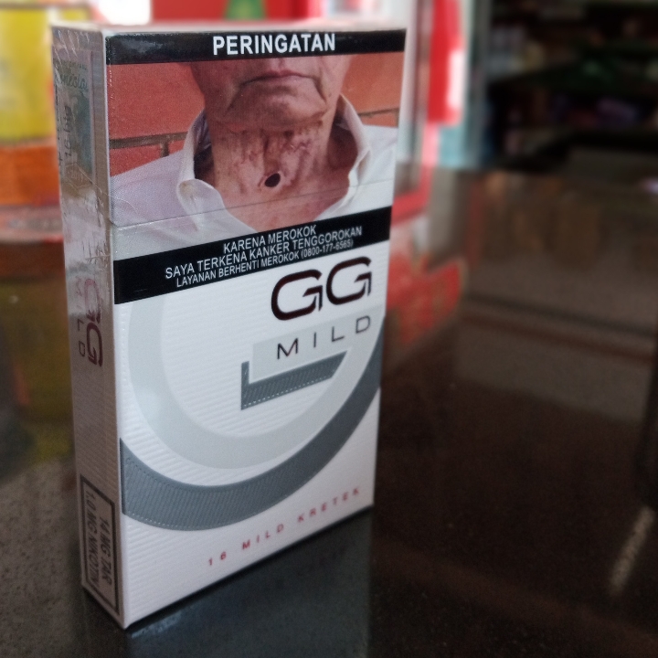 Gudang Garam Mild 16 2