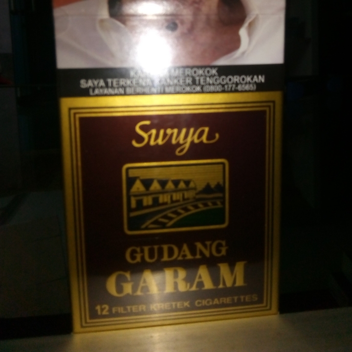 Rokok Gudang Garam Surya 12