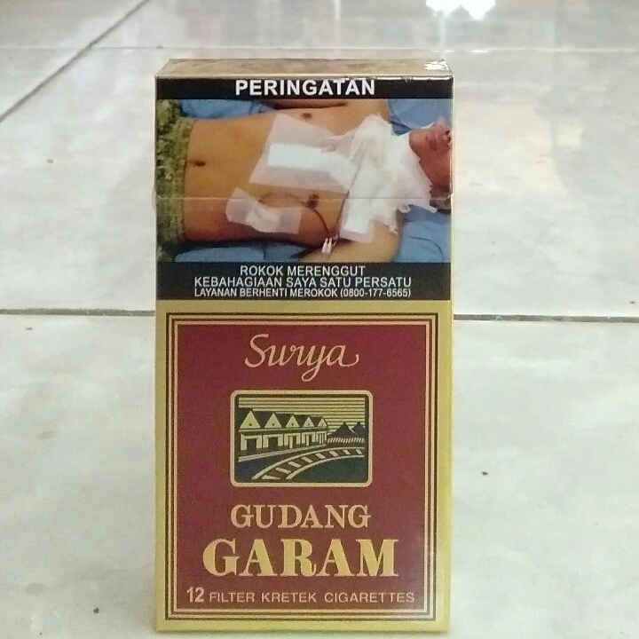 Gudang Garam Surya 12