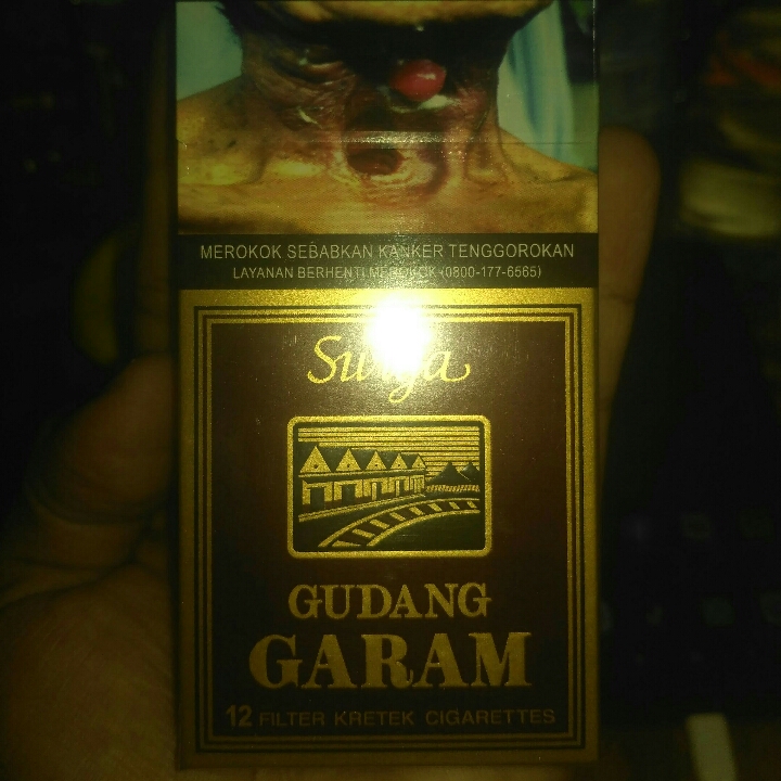 Gudang Garam Surya Isi 12