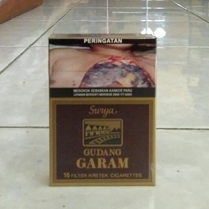 Gudang Garam Suya 16