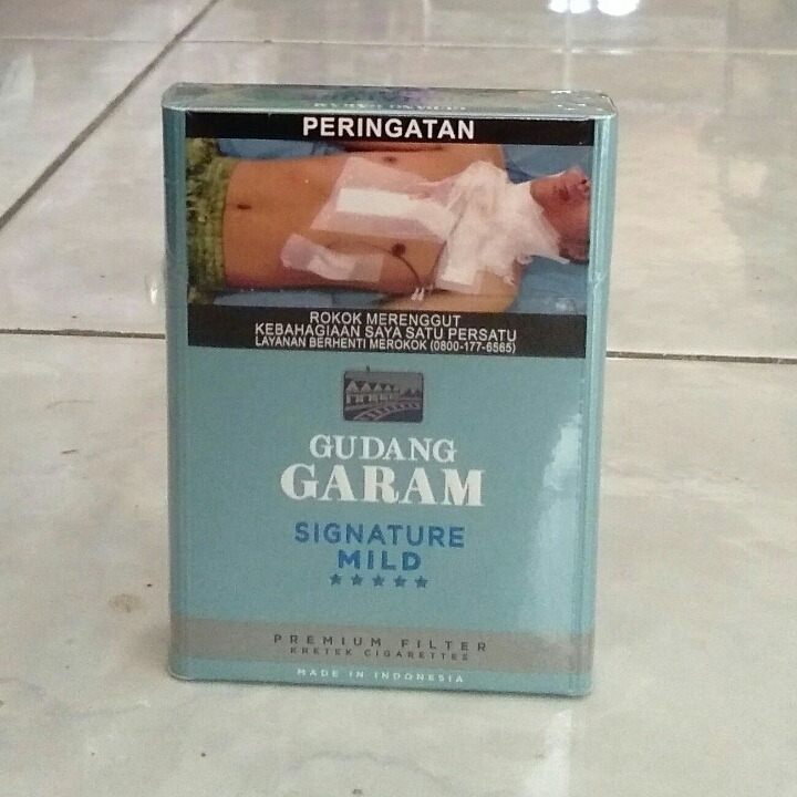 Gudang garam Signature Mild