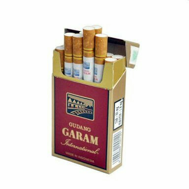 Gudang garam filter 12