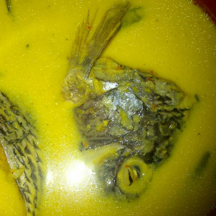 Gulai Kuning Kepala Nila 