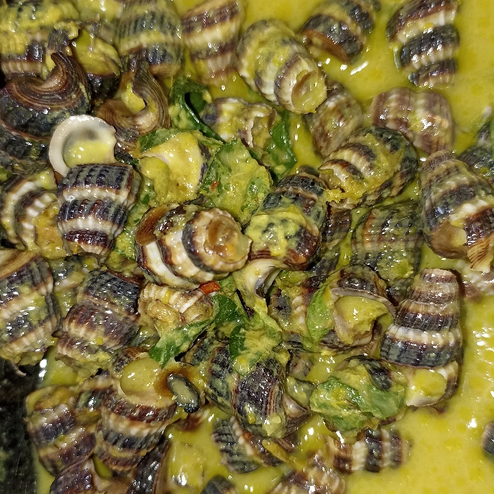 Gulai Siput 2