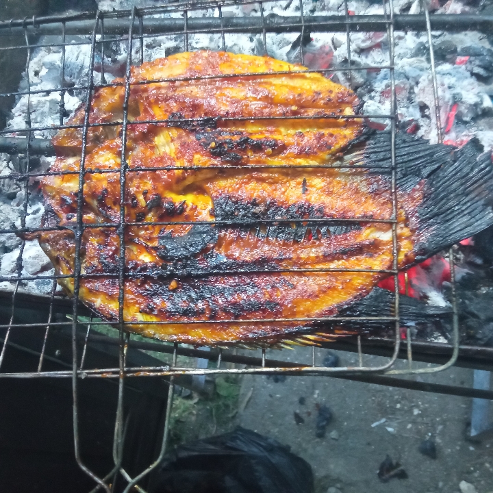 Gurami Bakar 3