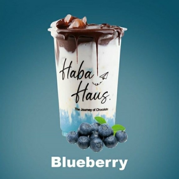 HABA HAUS BLUEBERRY